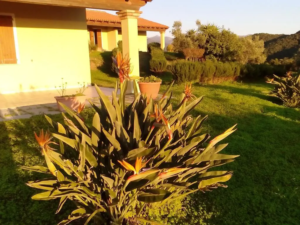 Majori Villa Fluminimaggiore Italia